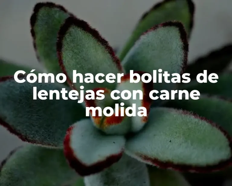 Cómo hacer bolitas de lentejas con carne molida