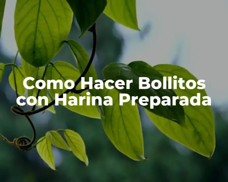 Como Hacer Bollitos con Harina Preparada