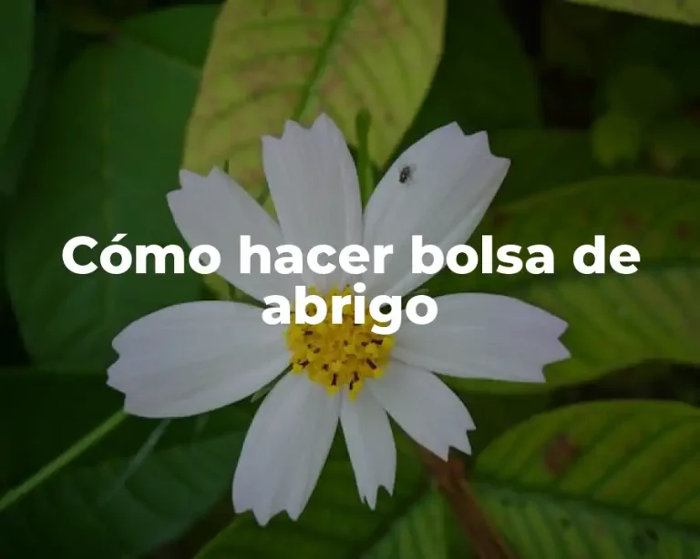 Cómo hacer bolsa de abrigo