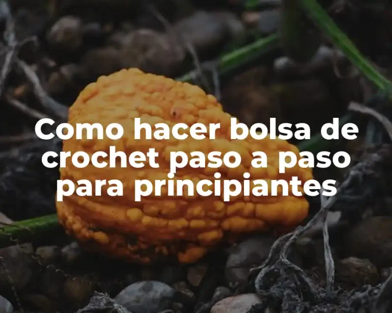 Como hacer bolsa de crochet paso a paso para principiantes