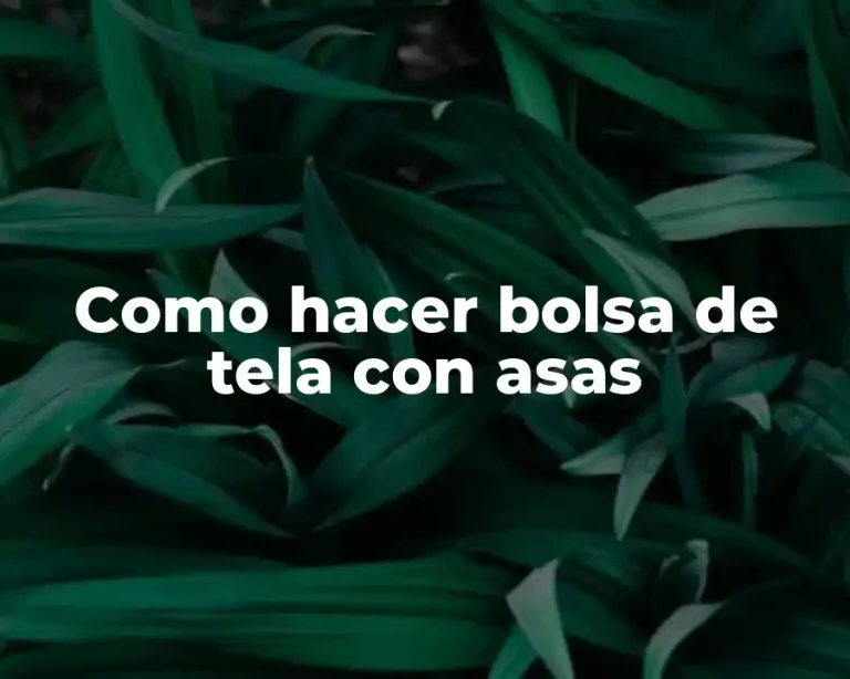Como hacer bolsa de tela con asas