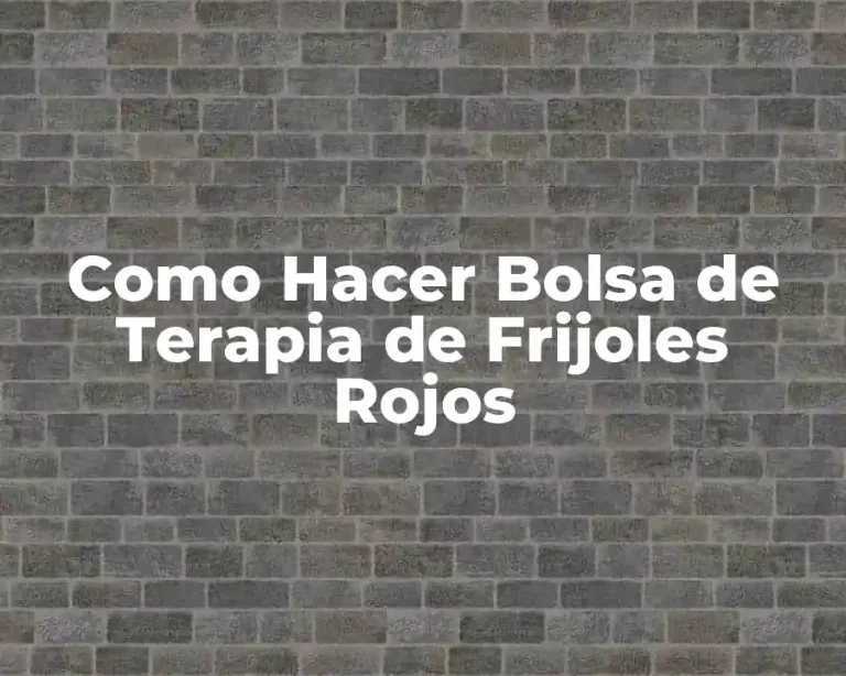Como Hacer Bolsa de Terapia de Frijoles Rojos