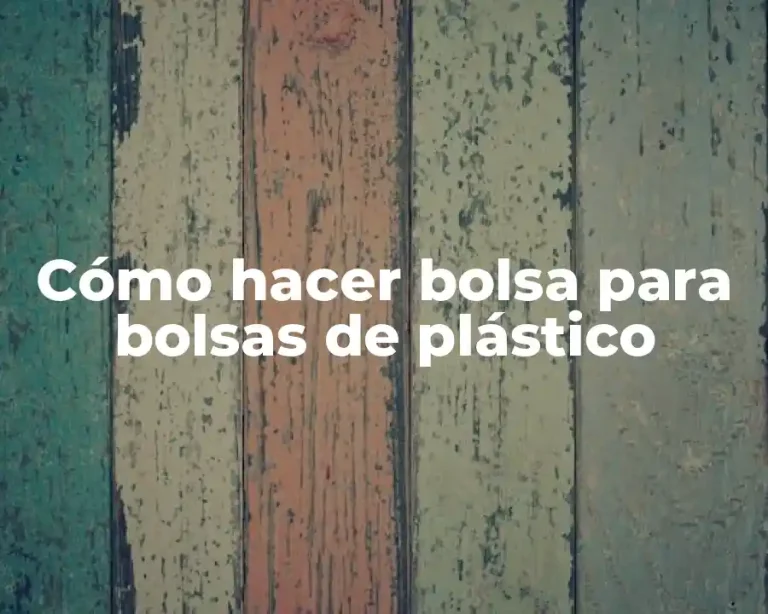 Cómo hacer bolsa para bolsas de plástico