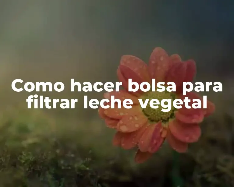 Como hacer bolsa para filtrar leche vegetal
