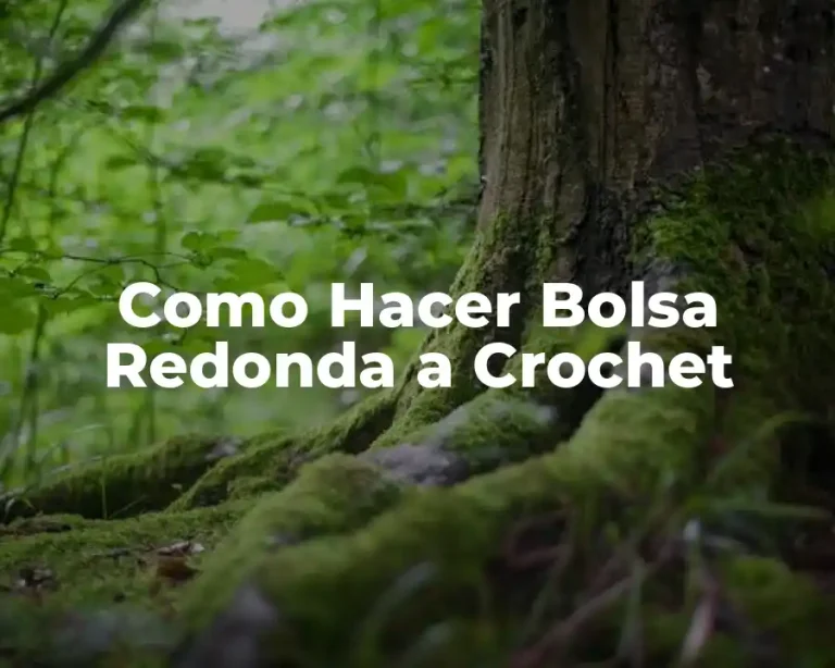 Como Hacer Bolsa Redonda a Crochet