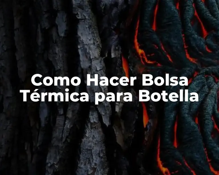Como Hacer Bolsa Térmica para Botella