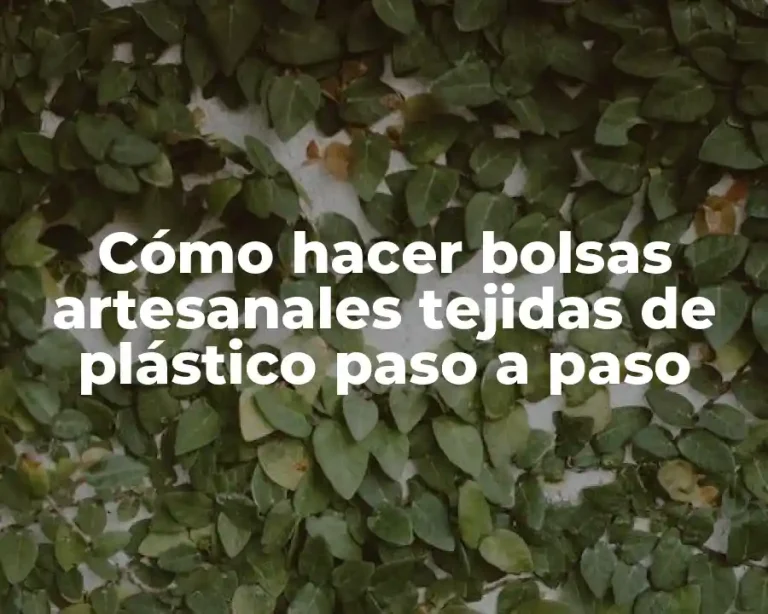 Cómo hacer bolsas artesanales tejidas de plástico paso a paso