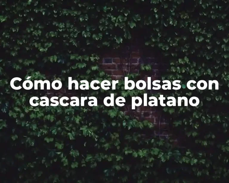 Cómo hacer bolsas con cascara de platano