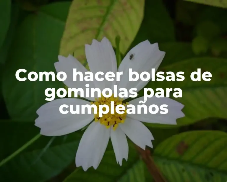 Como hacer bolsas de gominolas para cumpleaños
