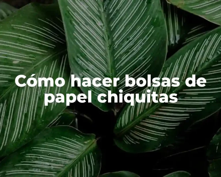 Cómo hacer bolsas de papel chiquitas
