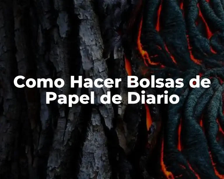 Como Hacer Bolsas de Papel de Diario