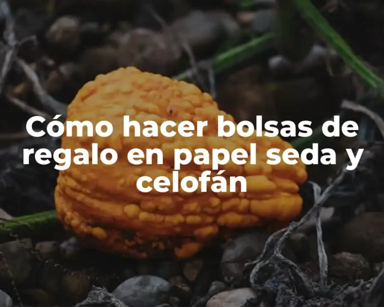 Cómo hacer bolsas de regalo en papel seda y celofán