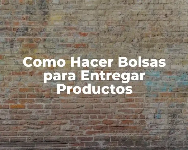 Como Hacer Bolsas para Entregar Productos