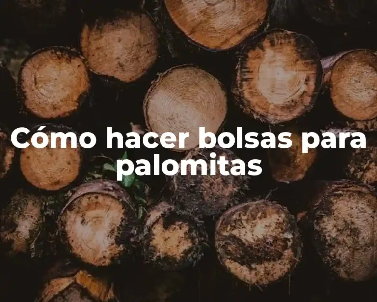 Cómo hacer bolsas para palomitas