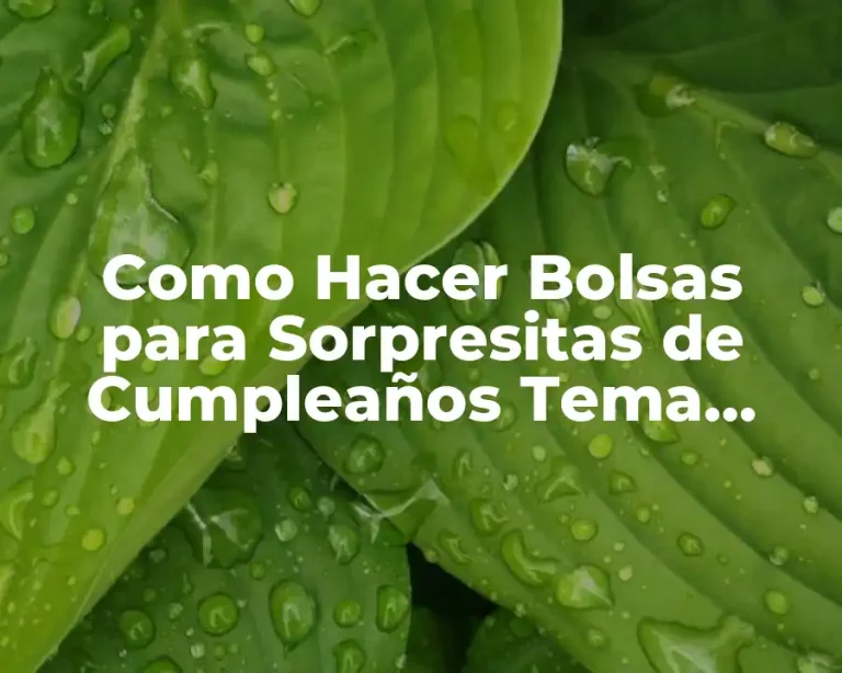 Como Hacer Bolsas para Sorpresitas de Cumpleaños Tema Circo