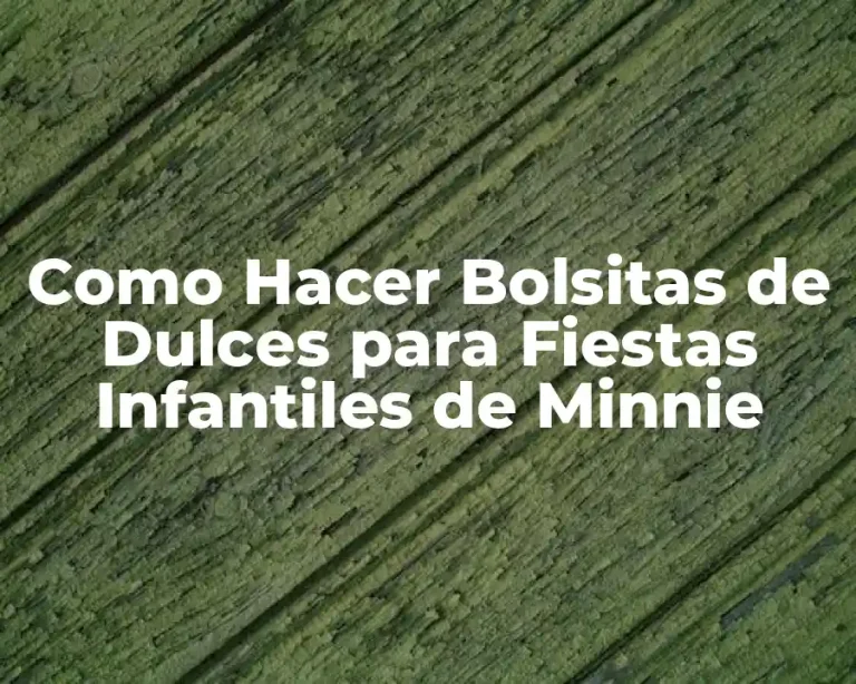 Como Hacer Bolsitas de Dulces para Fiestas Infantiles de Minnie