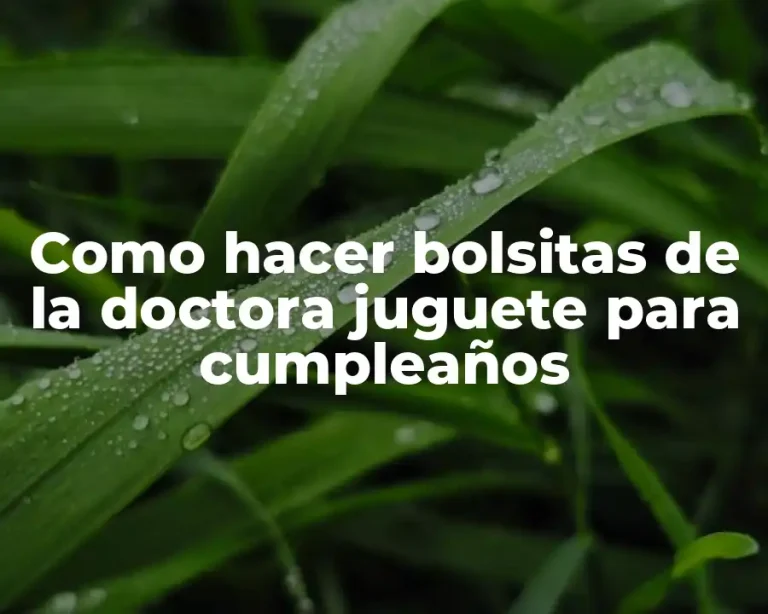 Como hacer bolsitas de la doctora juguete para cumpleaños