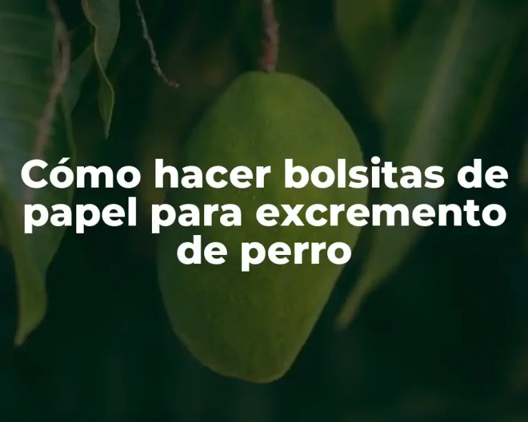 Cómo hacer bolsitas de papel para excremento de perro