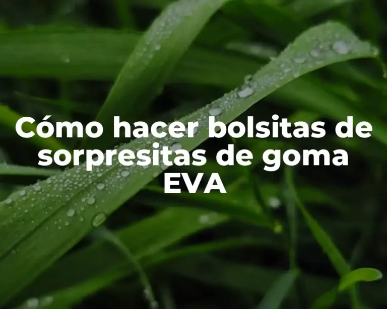 Cómo hacer bolsitas de sorpresitas de goma EVA