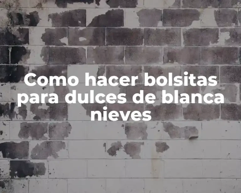 Como hacer bolsitas para dulces de blanca nieves