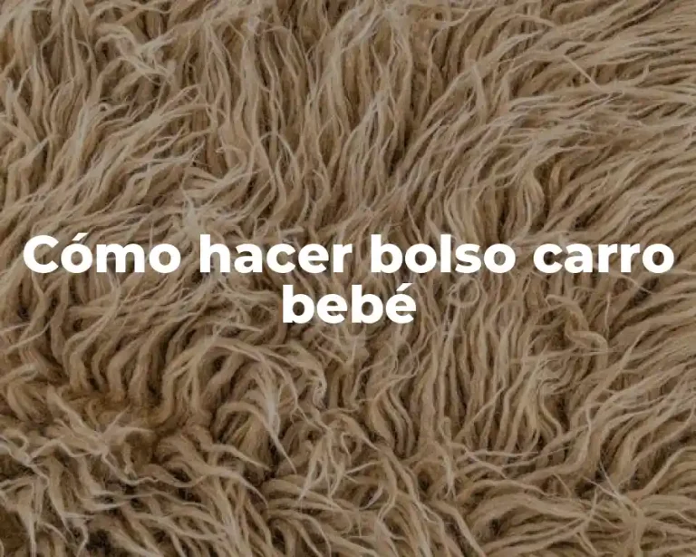 Cómo hacer bolso carro bebé