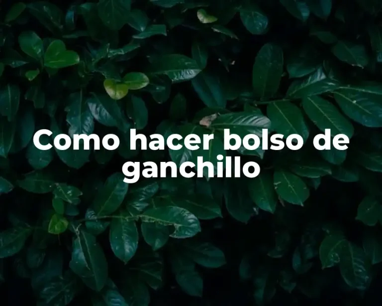 Como hacer bolso de ganchillo