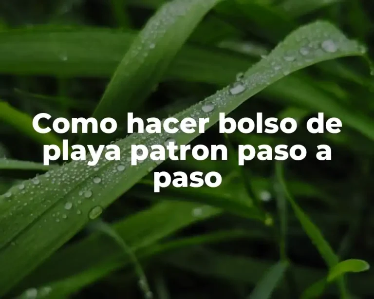 Como hacer bolso de playa patron paso a paso