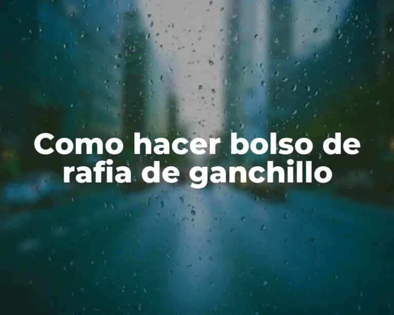 Como hacer bolso de rafia de ganchillo