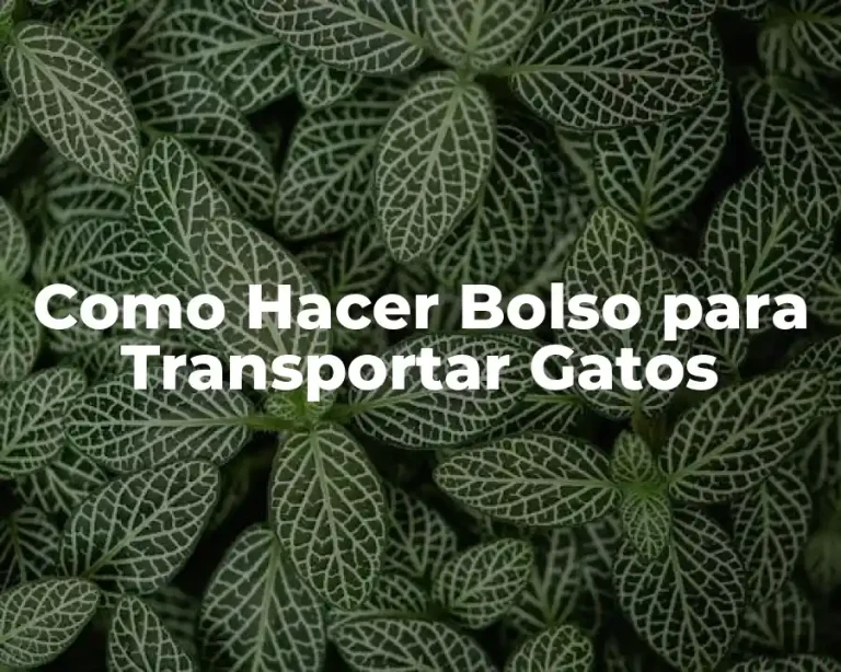 Como Hacer Bolso para Transportar Gatos