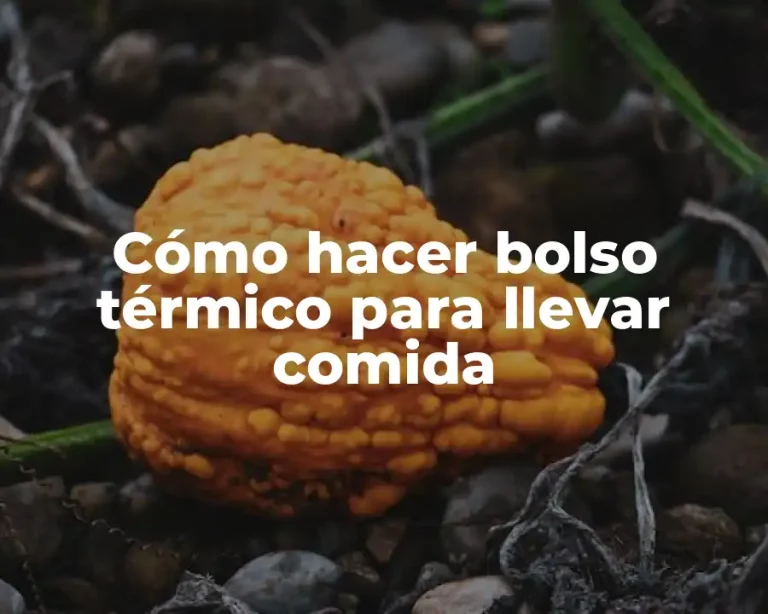 Cómo hacer bolso térmico para llevar comida
