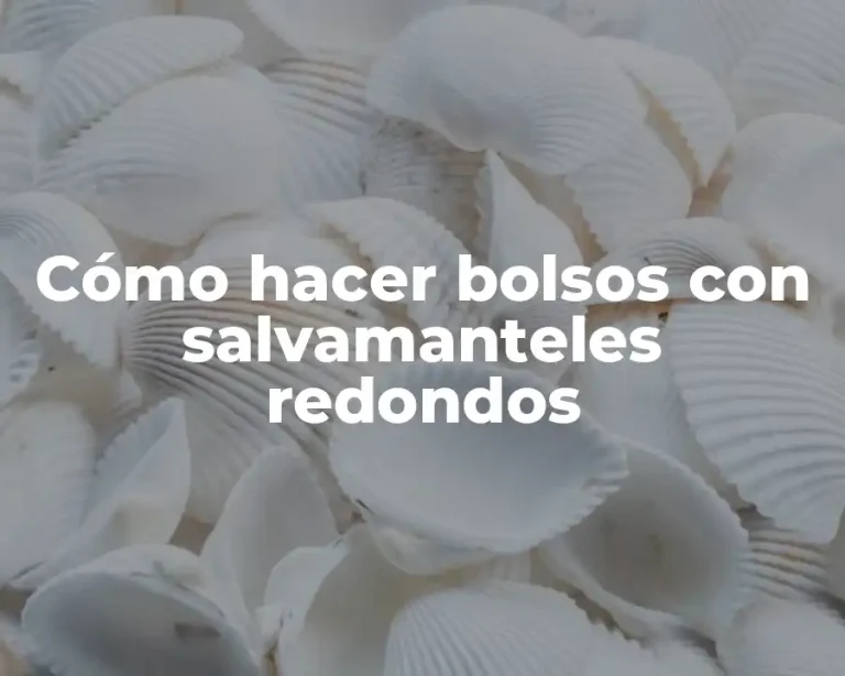 Cómo hacer bolsos con salvamanteles redondos