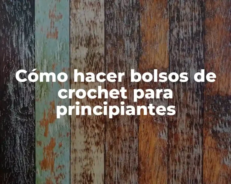 Cómo hacer bolsos de crochet para principiantes