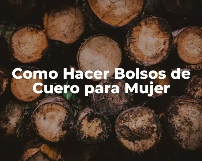 Como Hacer Bolsos de Cuero para Mujer