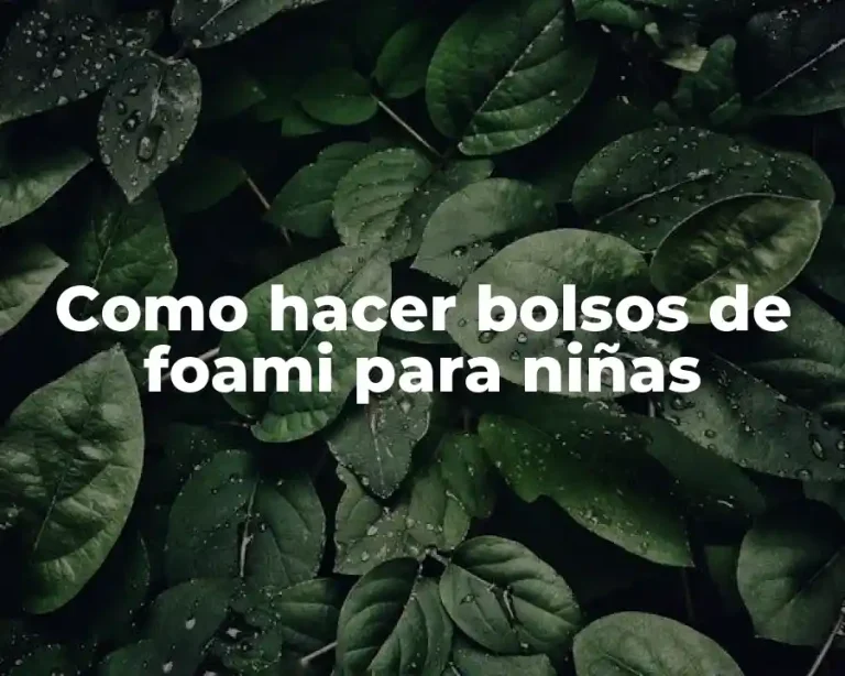 Como hacer bolsos de foami para niñas