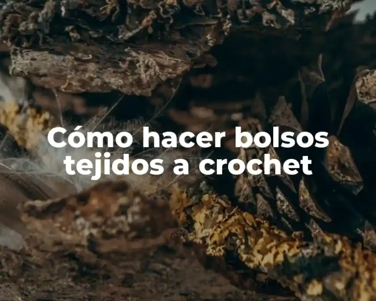Cómo hacer bolsos tejidos a crochet