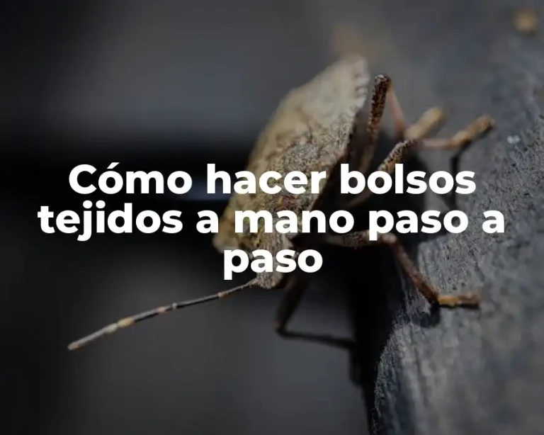 Cómo hacer bolsos tejidos a mano paso a paso