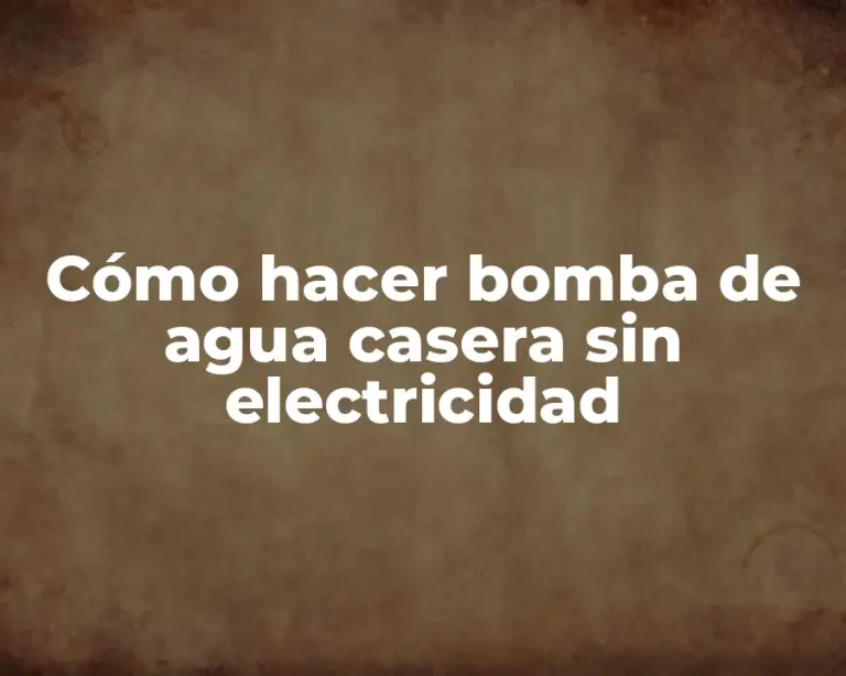 Cómo hacer bomba de agua casera sin electricidad