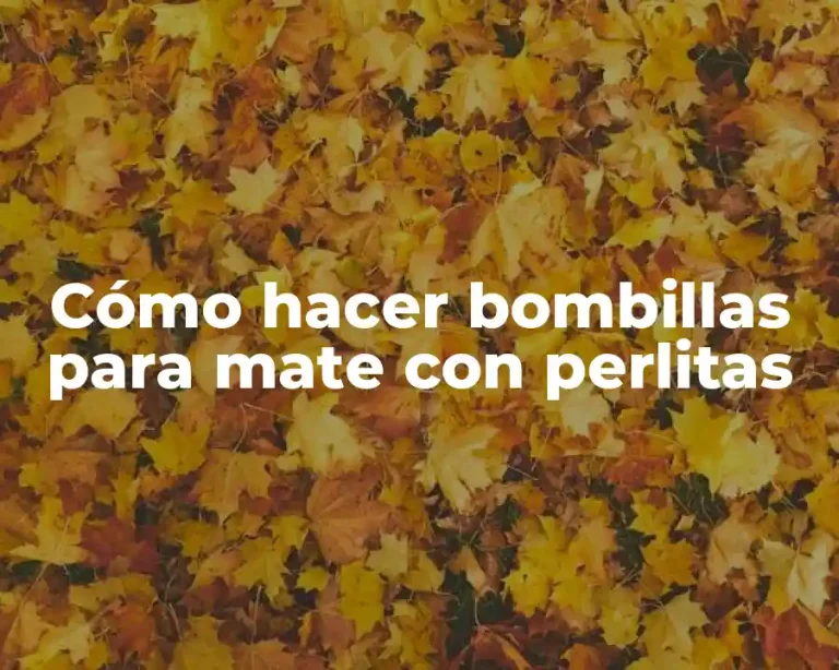 Cómo hacer bombillas para mate con perlitas