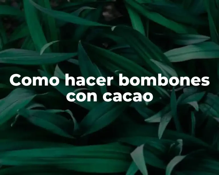 Como hacer bombones con cacao