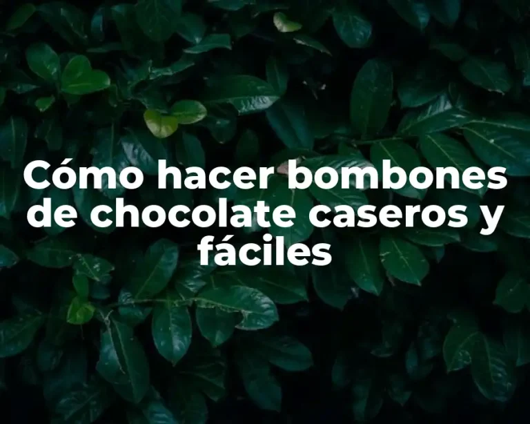 Cómo hacer bombones de chocolate caseros y fáciles