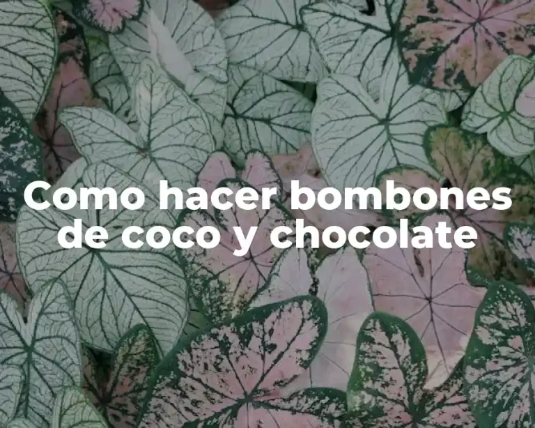 Como hacer bombones de coco y chocolate