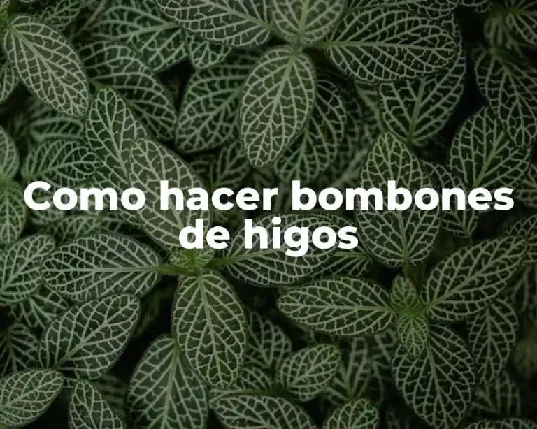 Como hacer bombones de higos