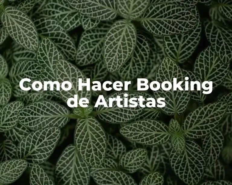Como Hacer Booking de Artistas