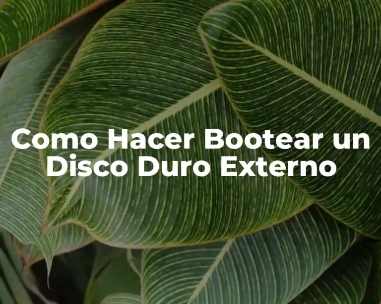 Como Hacer Bootear un Disco Duro Externo
