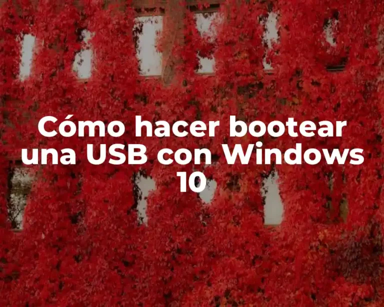 Cómo hacer bootear una USB con Windows 10