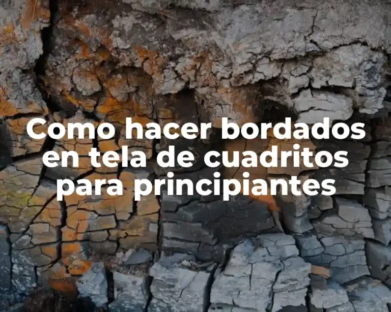 Como hacer bordados en tela de cuadritos para principiantes