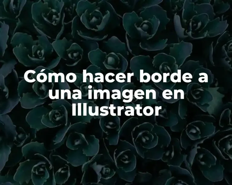 Cómo hacer borde a una imagen en Illustrator