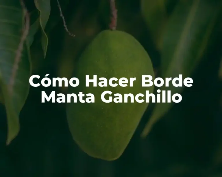Cómo Hacer Borde Manta Ganchillo