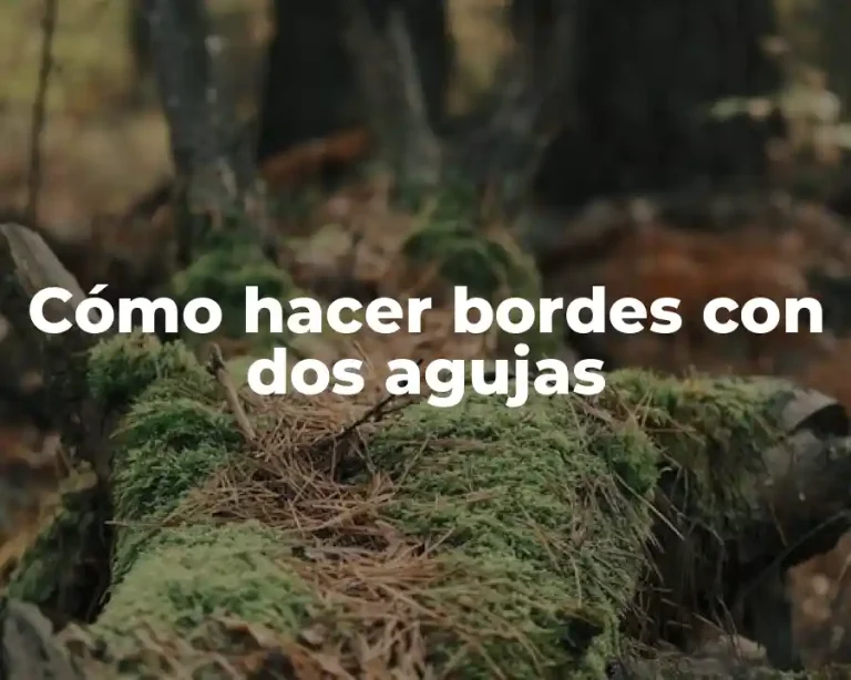 Cómo hacer bordes con dos agujas