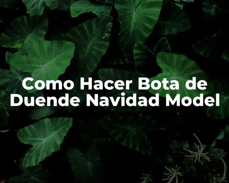 Como Hacer Bota de Duende Navidad Model